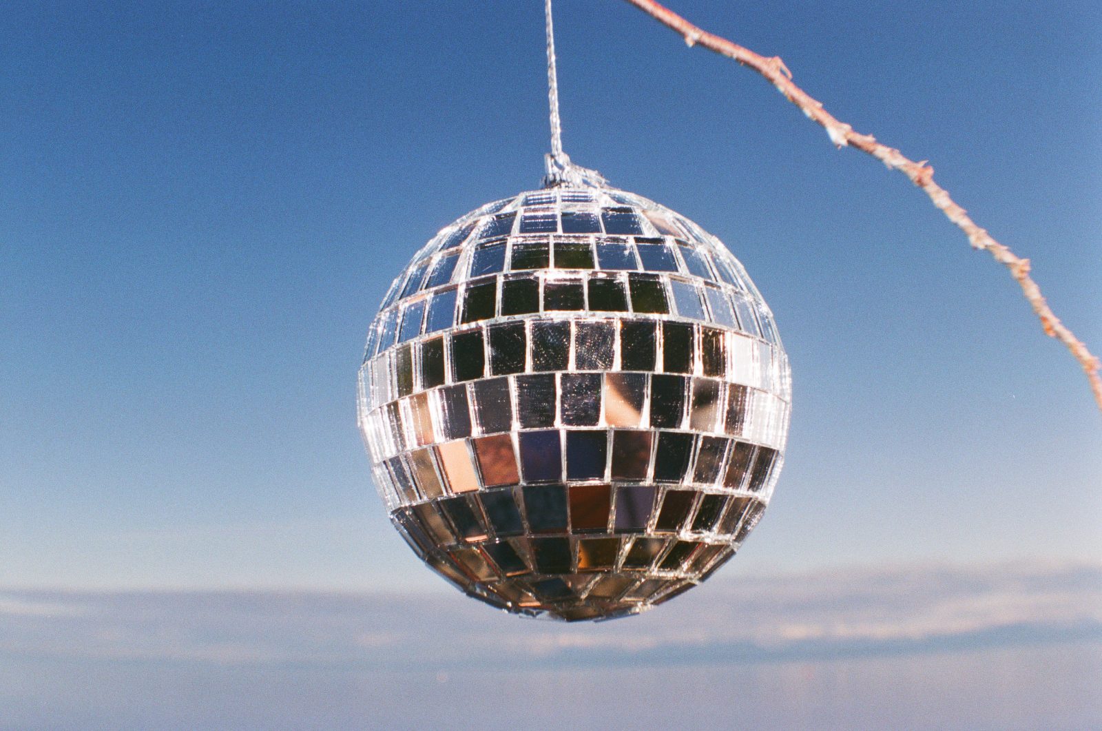 Discoball hanging from a tree branch