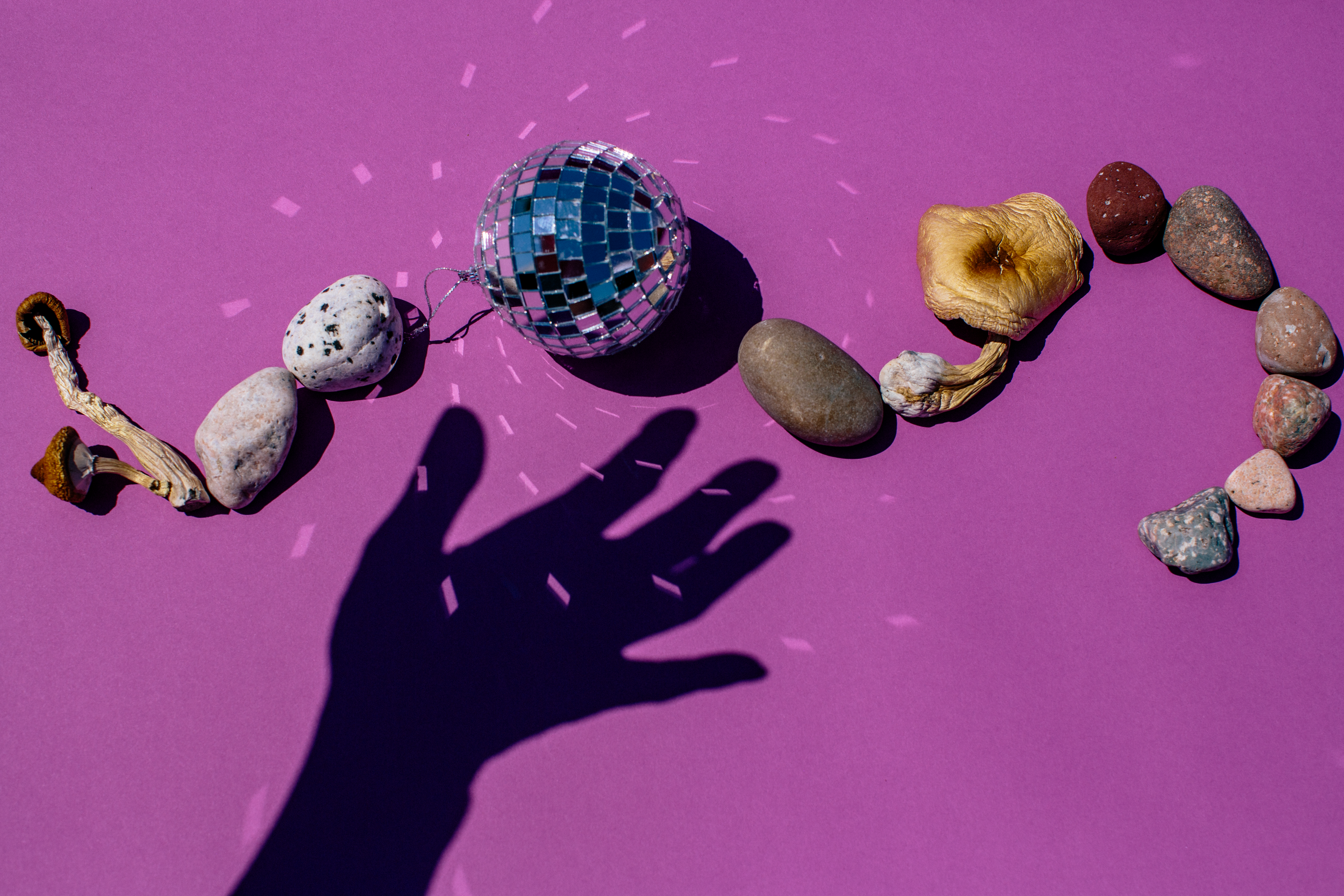 Rocks and magic mushrooms in a squiggly row