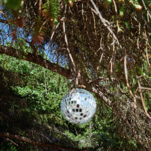 Small disco ball hanging from the branch of a spruce tree