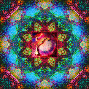 A multicoloured kalaidescope pattern with a magic mushroom at the centre
